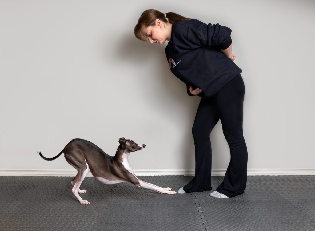 Dog Yoga Canine Stretches