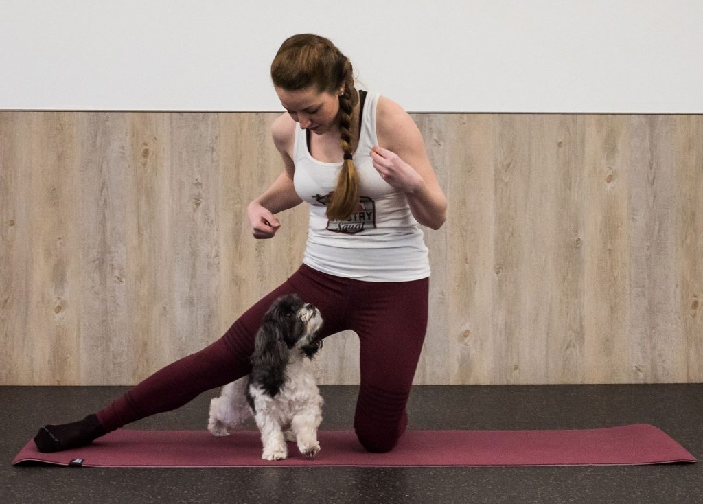 Doga Dog Yoga