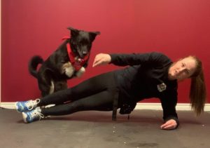 Workout with your dog
