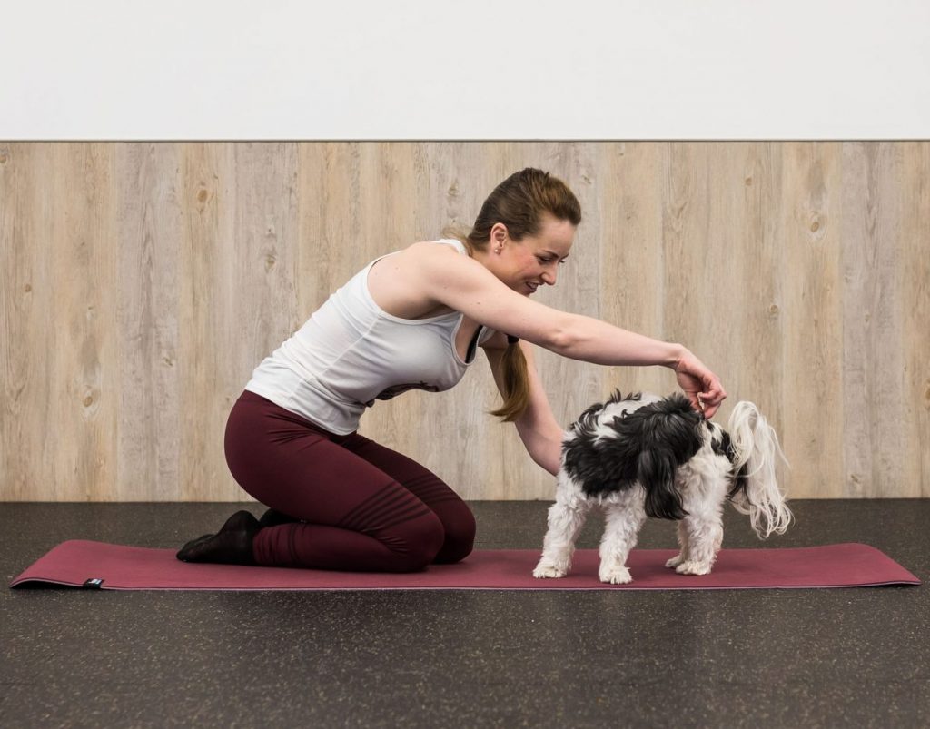 Doga Dog Yoga