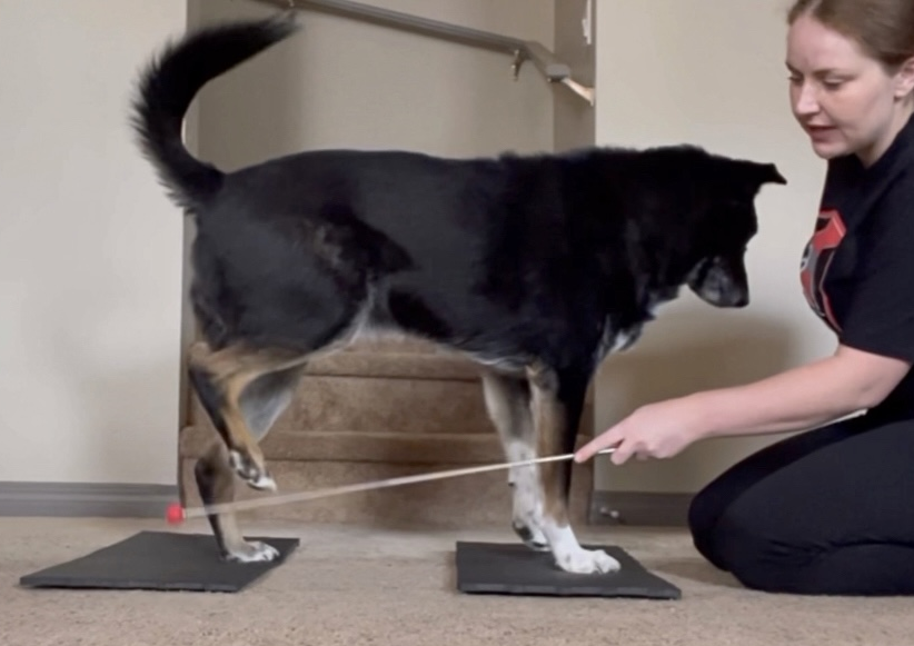 Dog leg lifts