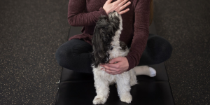 <a href="https://www.w3.org/">
  <img src="w3c.png" alt=""> Dog Massage
</a>