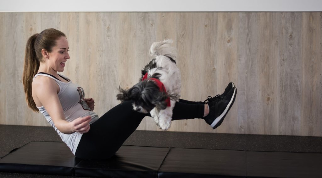 Dog Workout