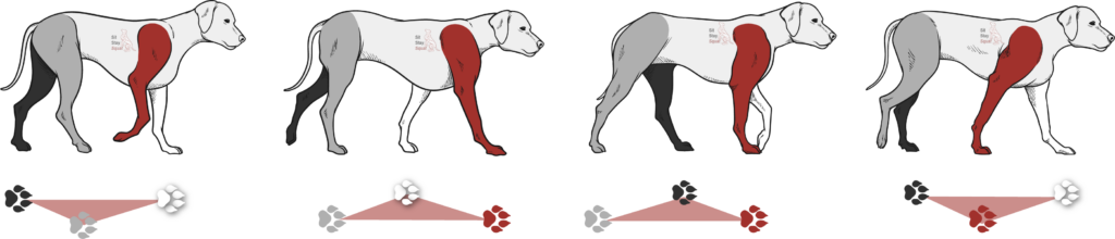 Cartoon dog image showing walk.
