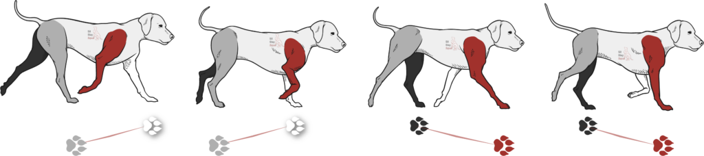 Cartoon dog image showing trot