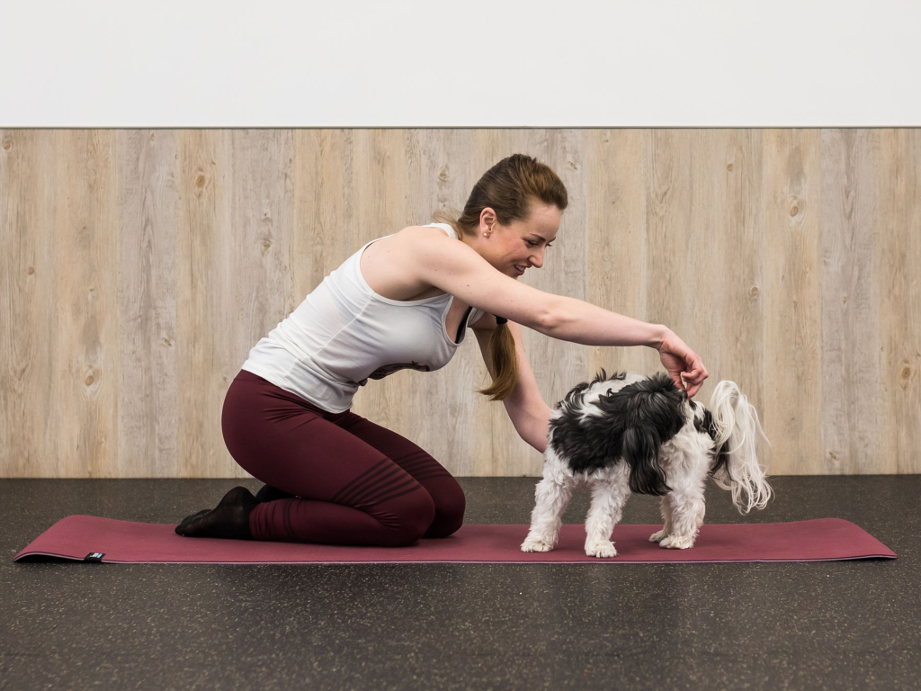 Senior Dog Stretches
