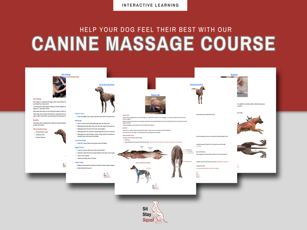 Canine Massage Booklets