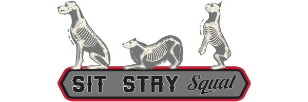 canine skeletal anatomy
