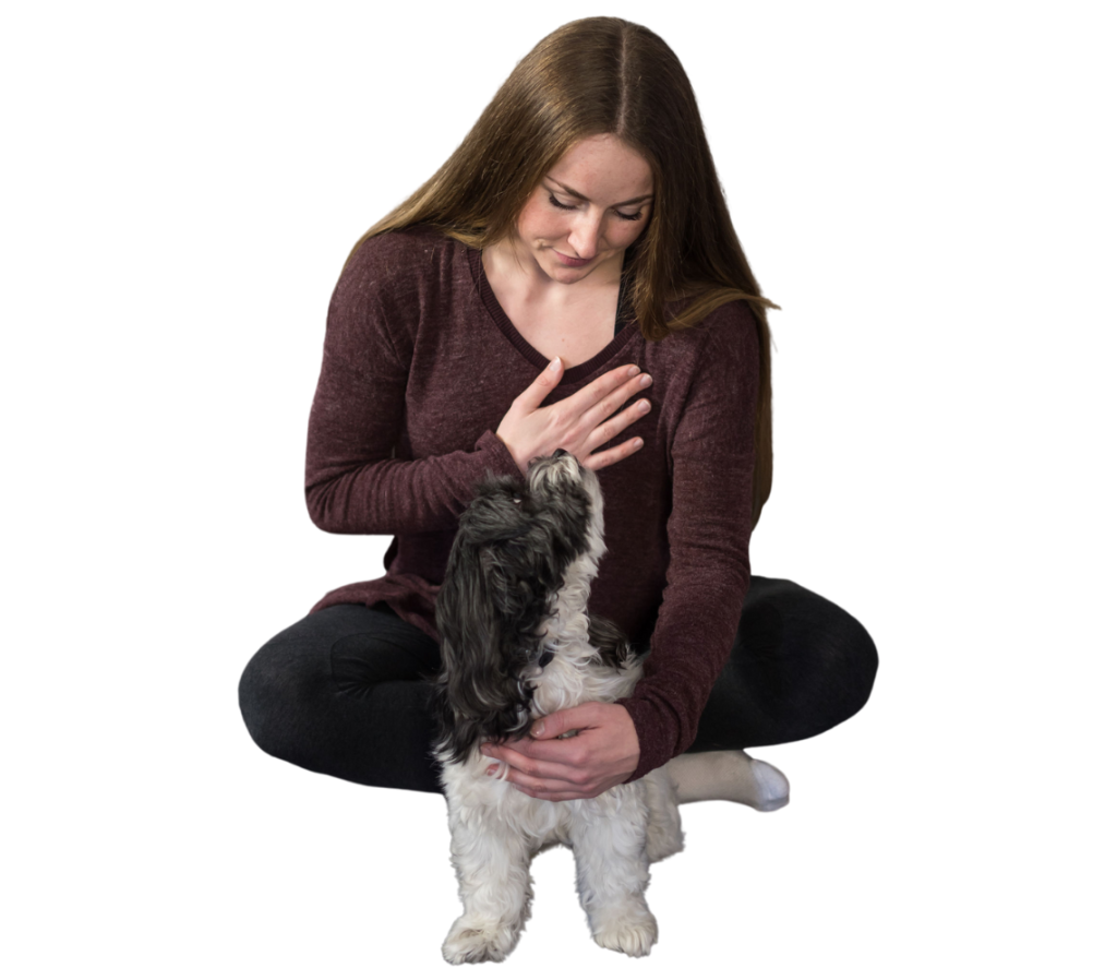 Dog Massage