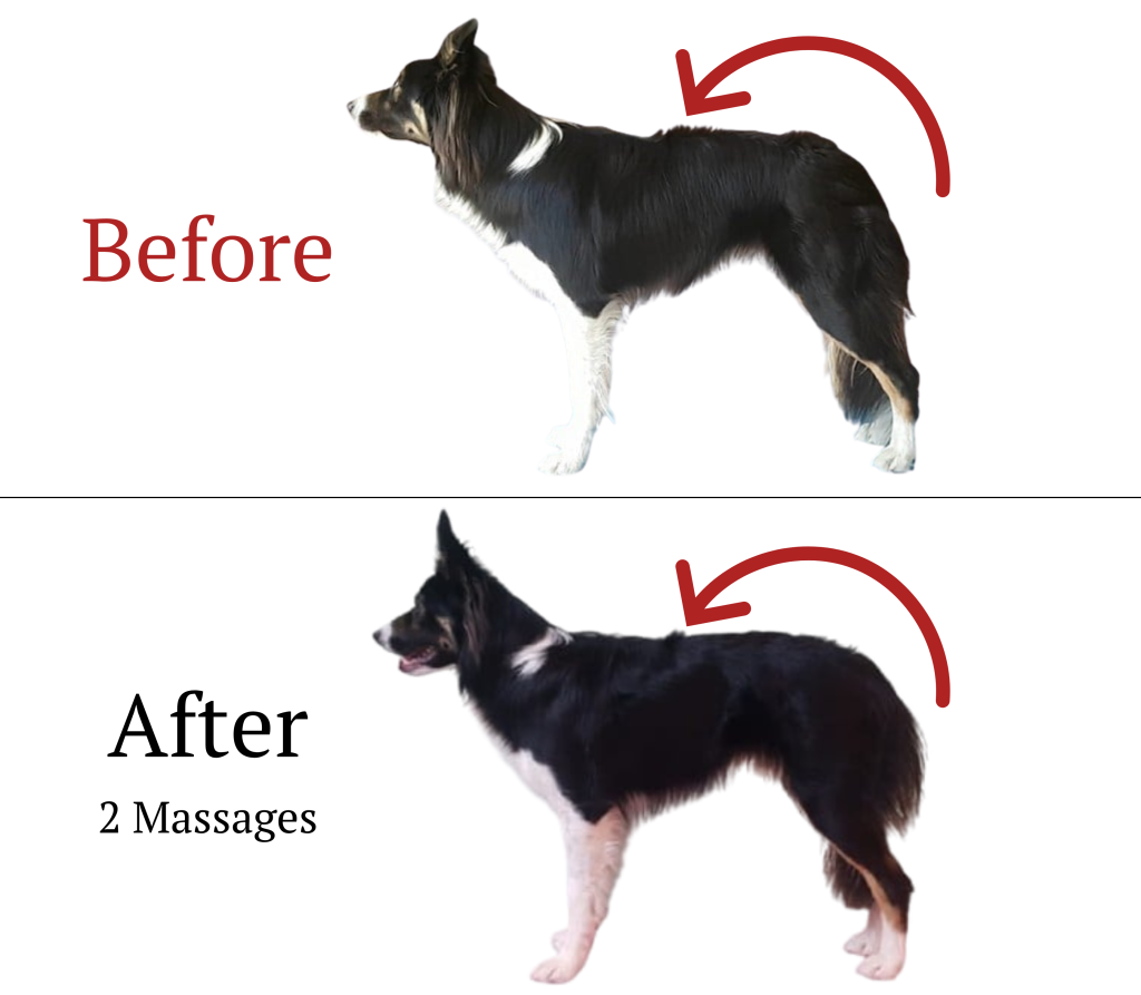 Fur Pattern Massage