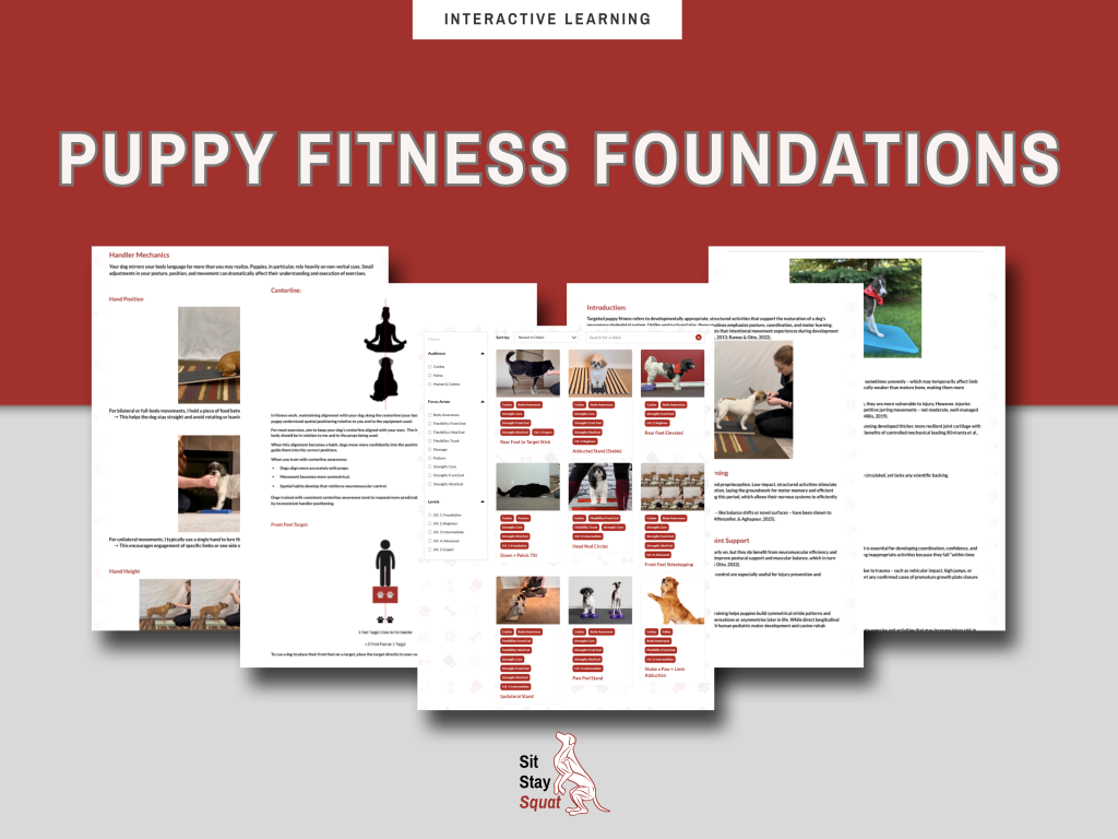 Puppy Fitness Foundations