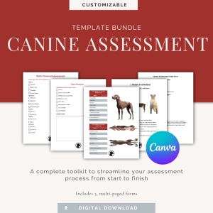 Canine Assessment Canva Template Bundle