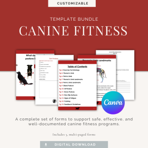 Canine Fitness Canva Template Bundle