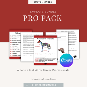 Digital Products for Pet Professionals