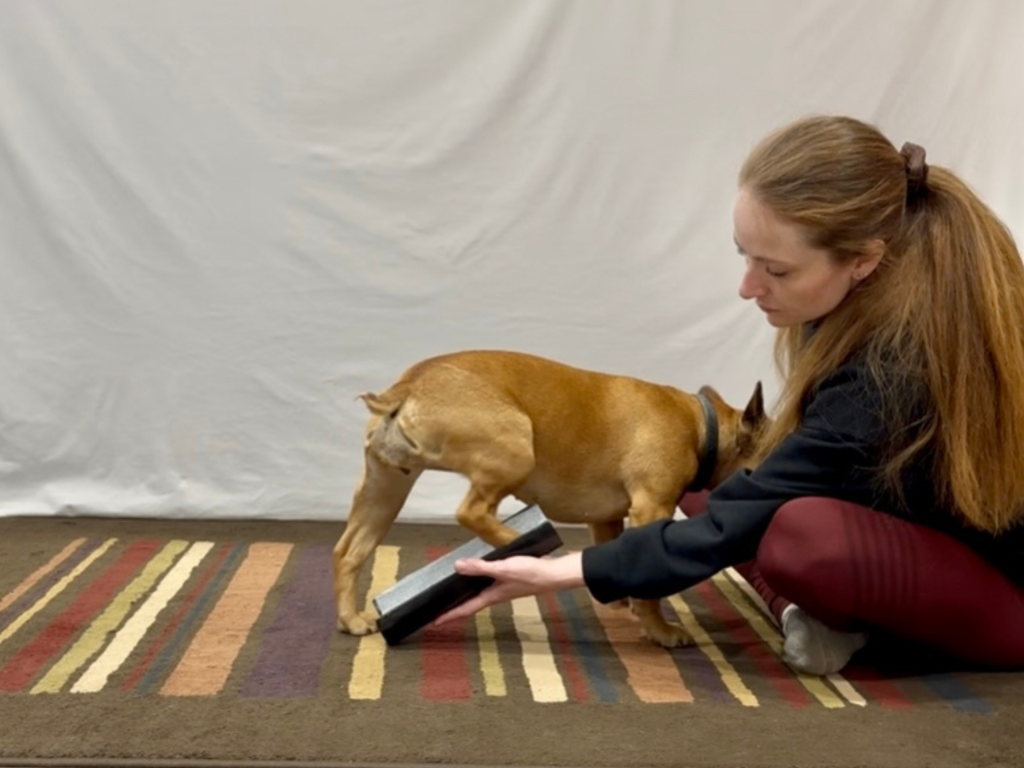 Dog Nail Board Hind Paw