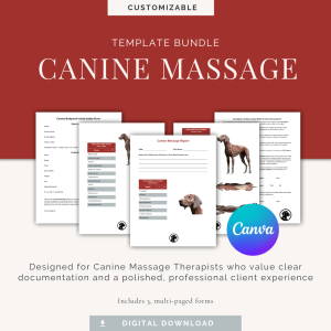 Canine Massage Canva Template Bundle