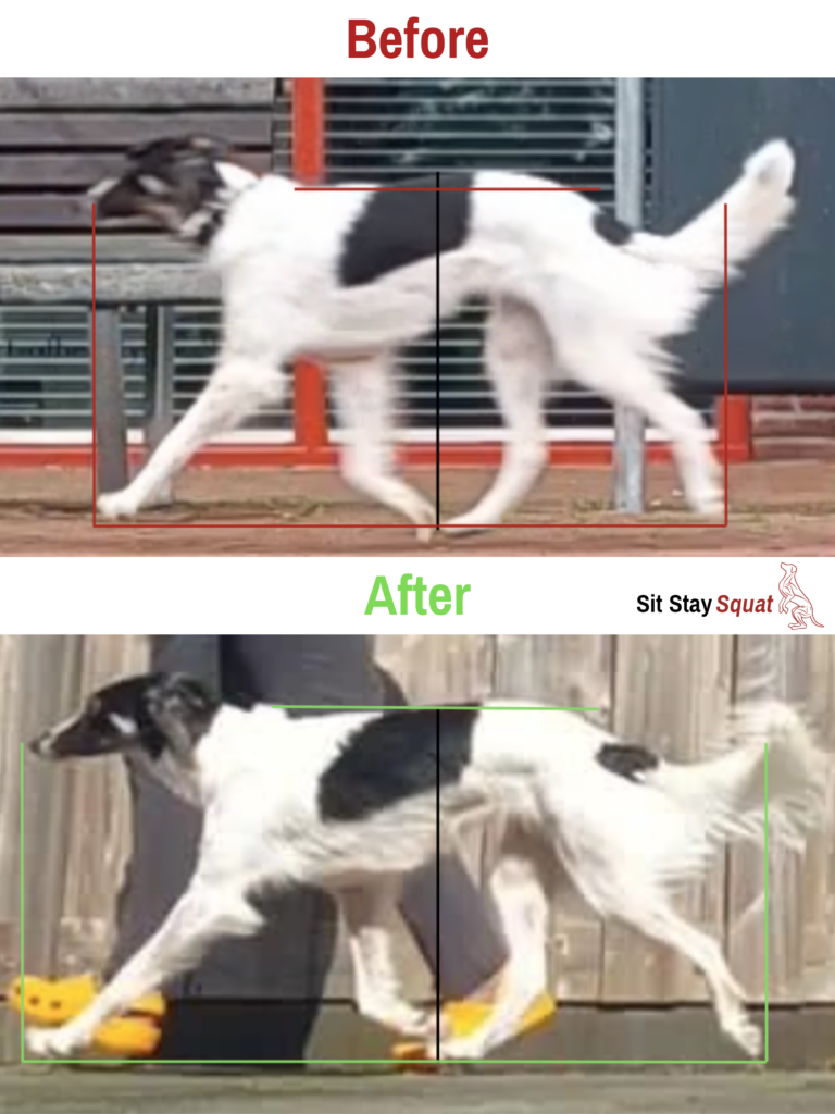 Windsprite with improved trotting mechanics