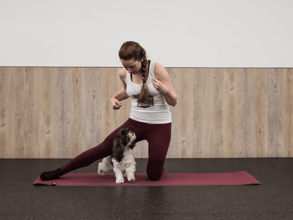 Woman performing a half kneeling adductor stretch while guiding her Shih tzu to crawl underneath her.